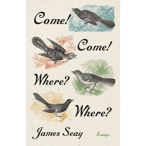 Come! Come! Where? Where?: Essays, (Hardcover)