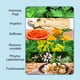 thumbnail image 3 of Forme la envoltura corporal hidratante dando forma al extracto reafirmante de la planta del parche del cuerpo que promueve la circulación para Ab ANGGREK Otros, 3 of 8