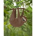 thumbnail image 2 of Fab Funky  15x18 Gold Ornate Wood Framed with Double Matting Museum Art Print Titled - Sloth Hanging Around, 2 of 4