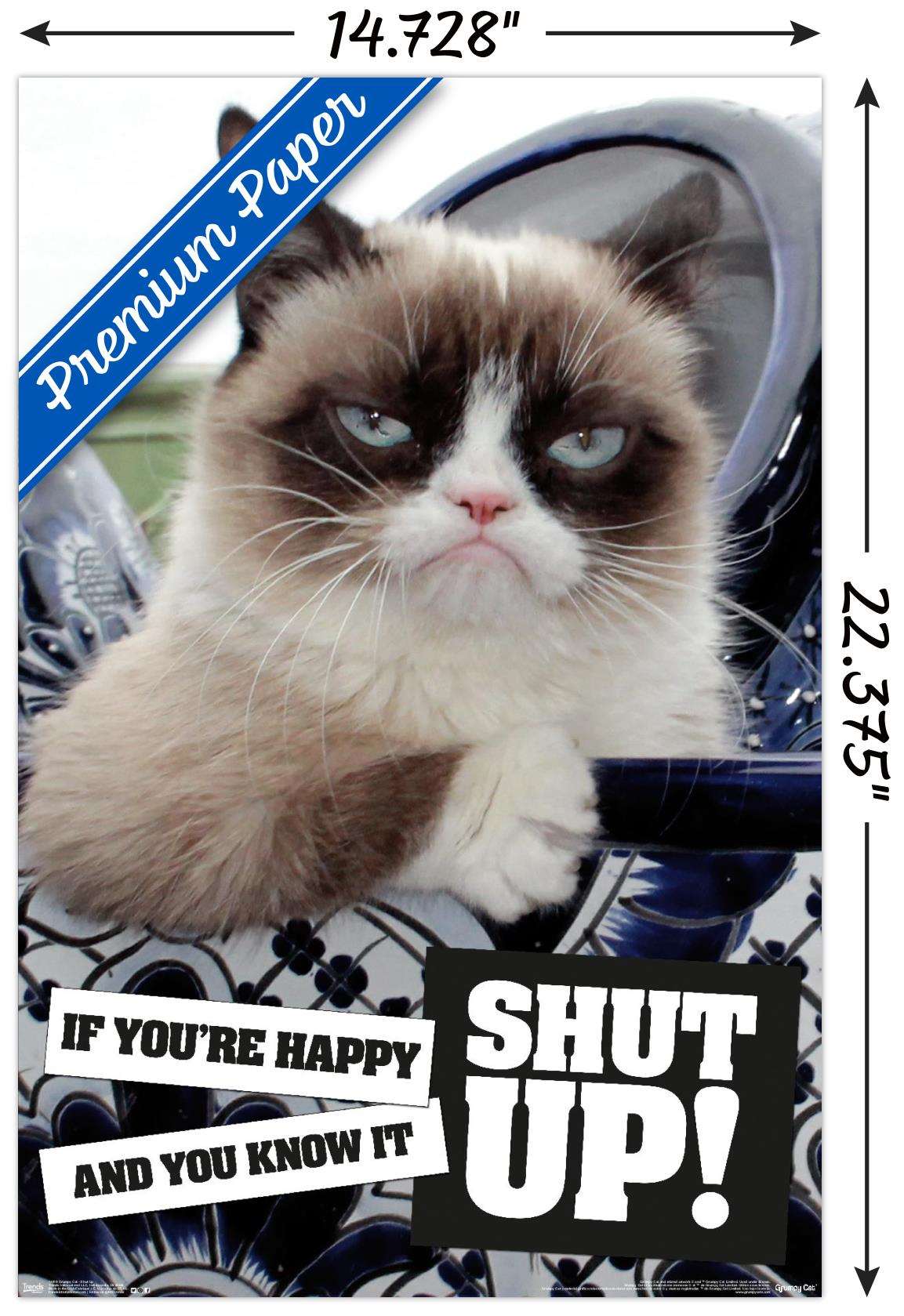 Grumpy Cat - Shut Up Wall Poster, 14.725" x 22.375"