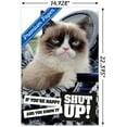 thumbnail image 3 of Grumpy Cat - Shut Up Wall Poster, 14.725" x 22.375", 3 of 3