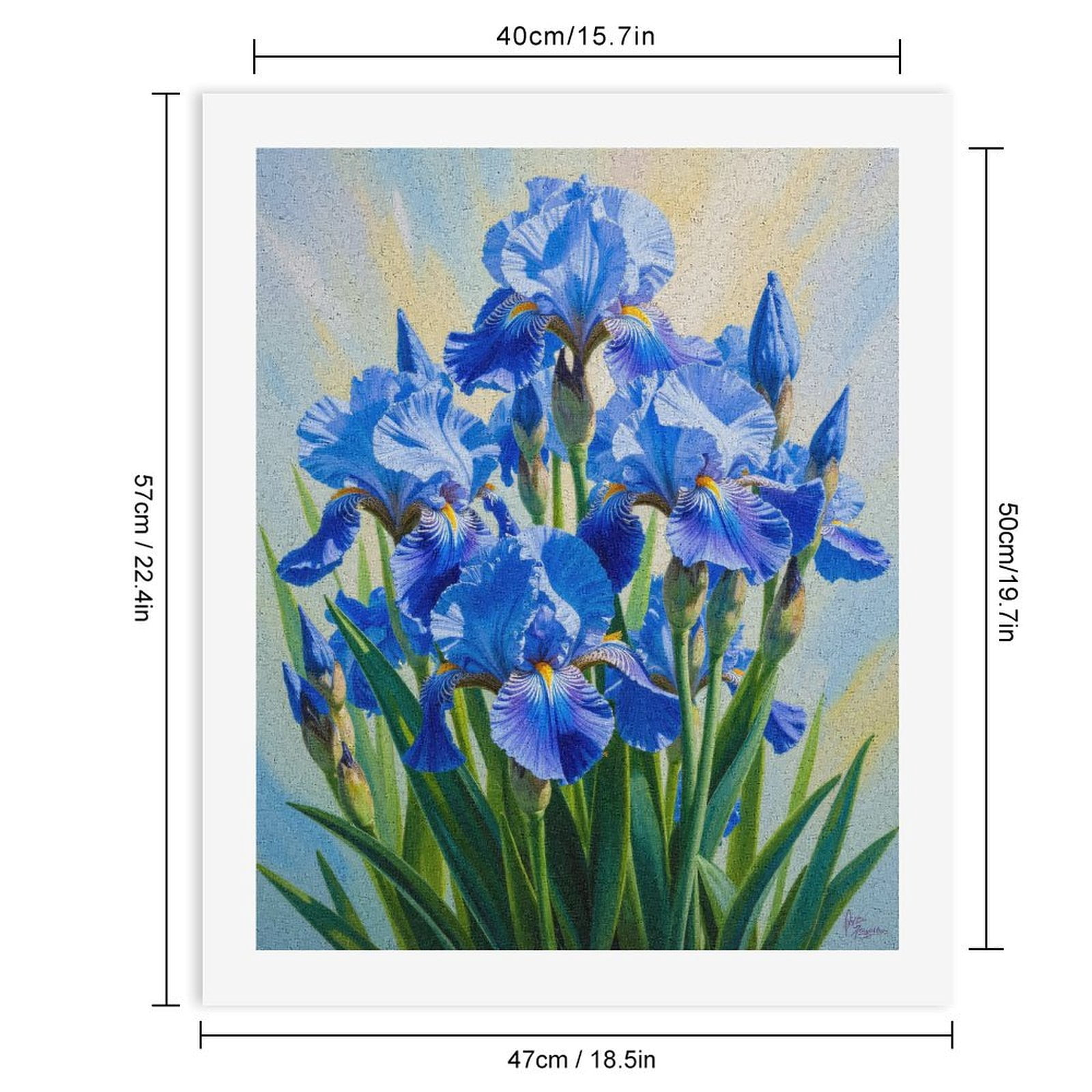 Paint by Numbers Kit for Adults, Blue Irises In Bloom Painting Paint by Numbers, Easy Paint by Numbers Kit for Adults Beginner, DIY Adult Paint by Number Kits on Canvas, Home Decor