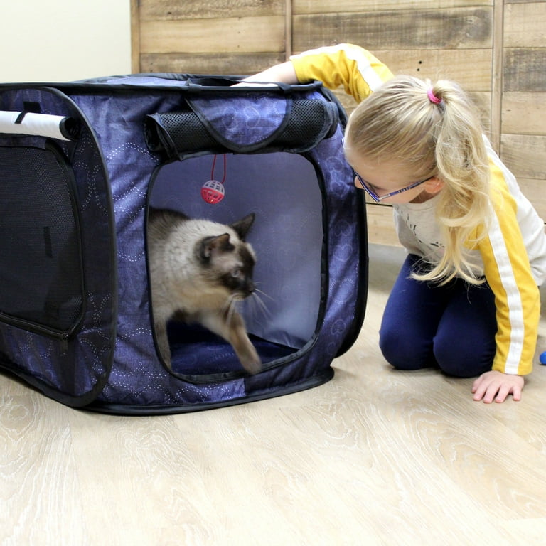 Walmart cat carrier case cheap