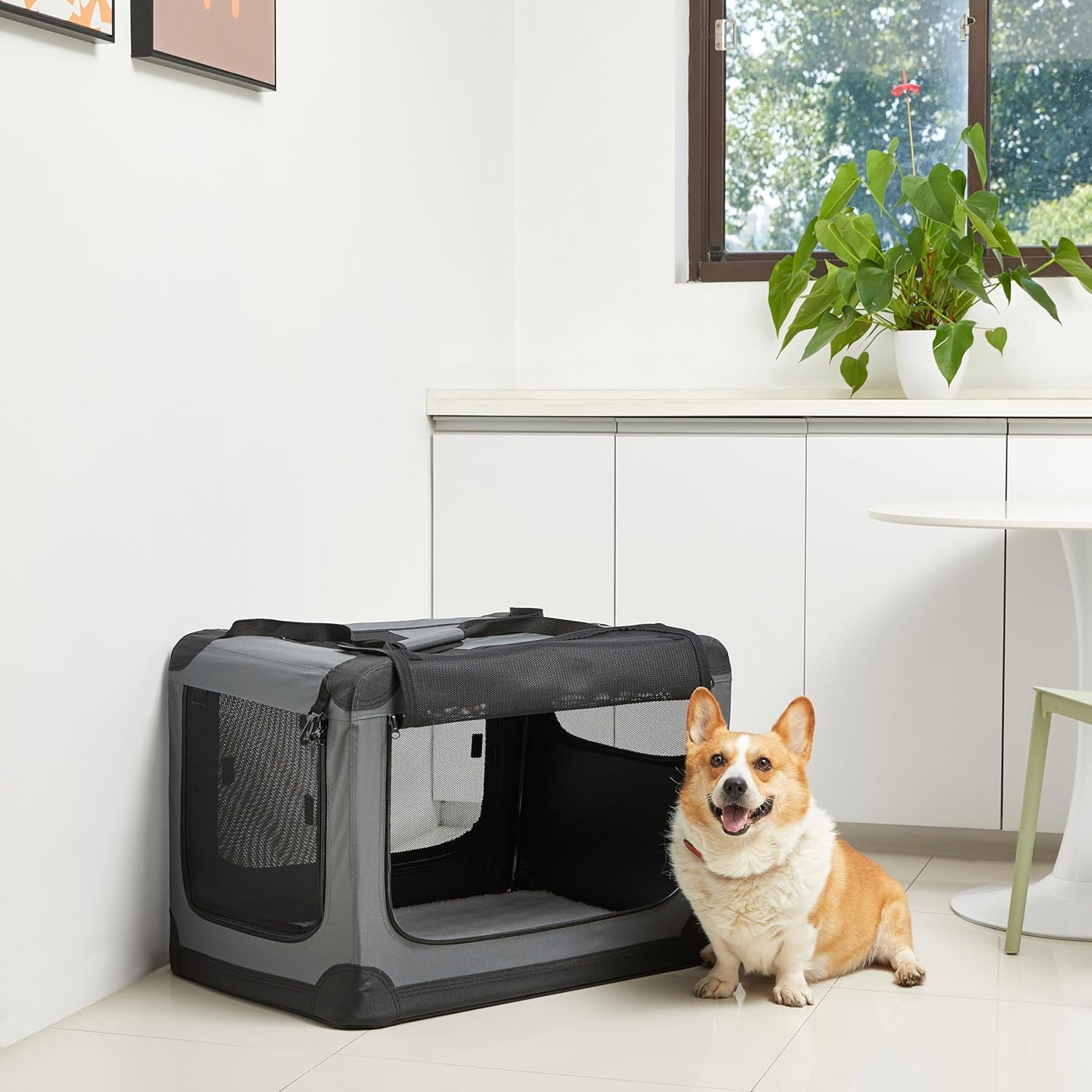 Basics Folding Soft Crate for Cat, Dog, Rabbit, Portable and Collapsible, 36 Inch, Tan, L 36" x 24" x 24"