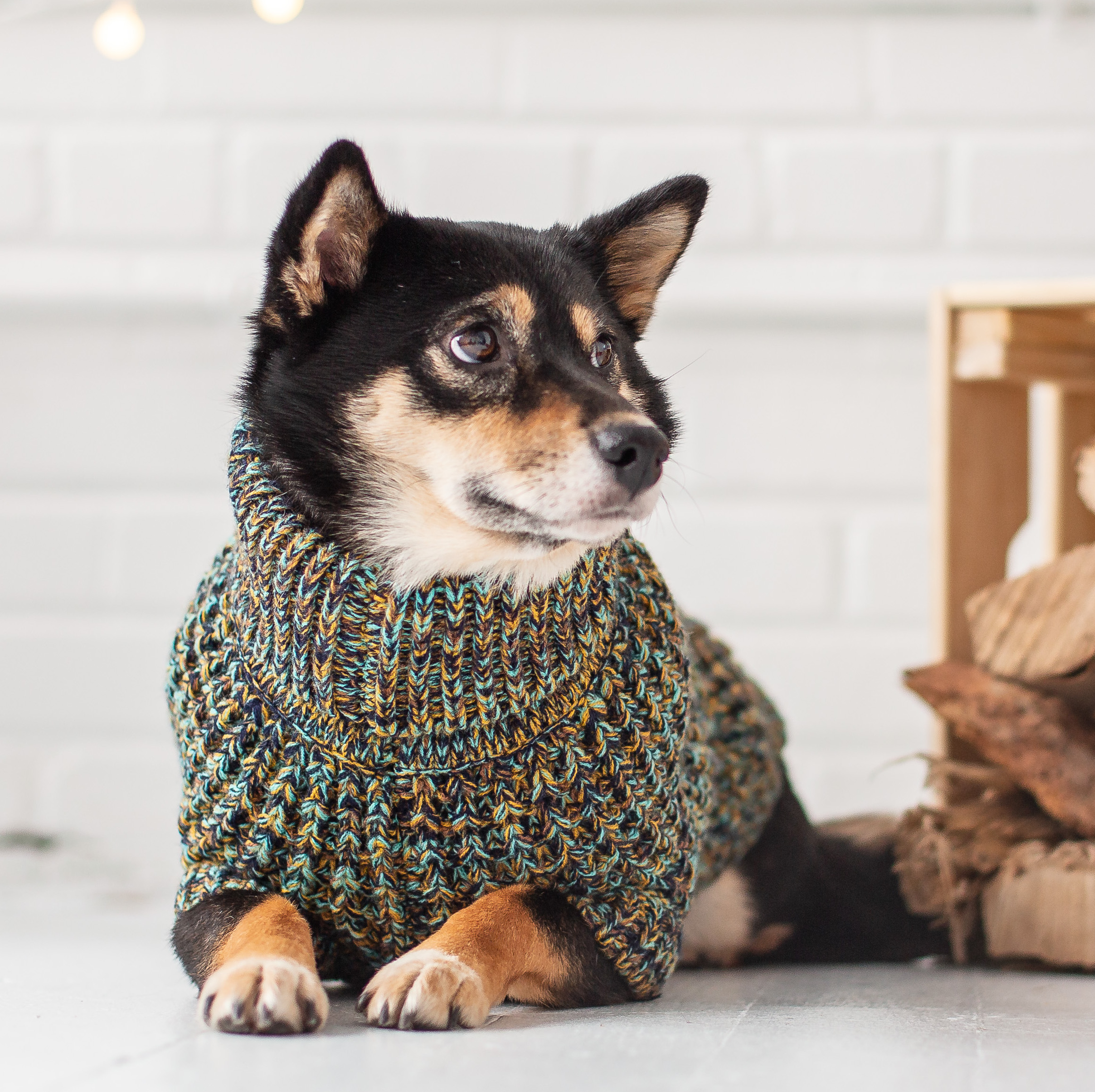 GF PET Scout Dog Sweater Apparel for Small Medium Large Dogs Pets, Navy, XS