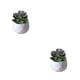 thumbnail image 3 of Billuyoard Simulación de plantas suculentas artificiales, bonsái, arreglo en maceta de flores falsas, paisaje, sala de estar, de fiesta en casa Type1 NO1, 3 of 6