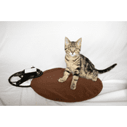 The Kitty Tube Low Voltage Round Heated Pet Pad