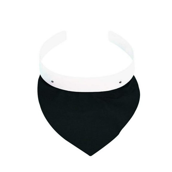 RJ Toomey 145 Cassock Rabat-#2 Collar