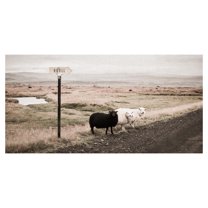 Masterpiece Art Gallery Black Sheep on the Roadside by Topich Canvas Art Print 24" x 48"