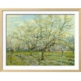 thumbnail image 2 of The White Orchard, 1888, Botanical Scenic Seasons Framed Art Print Wall Art by Vincent van Gogh Sold by Art.Com, 2 of 6