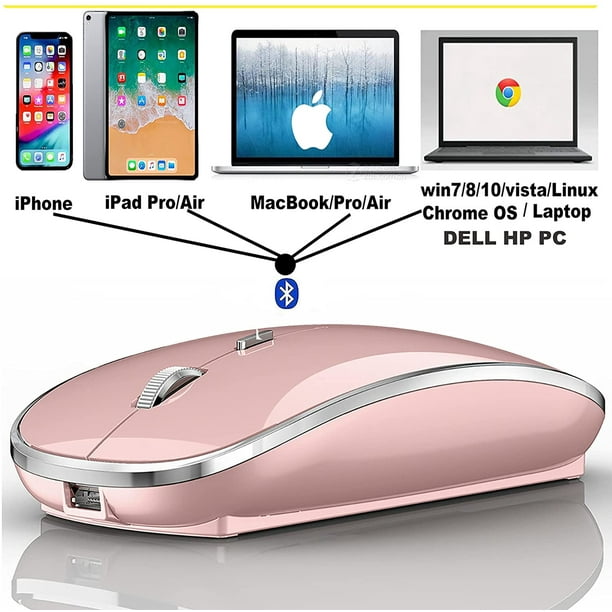 Souris Bluetooth pour ordinateur portable/iPad/iPhone/Mac (iOS