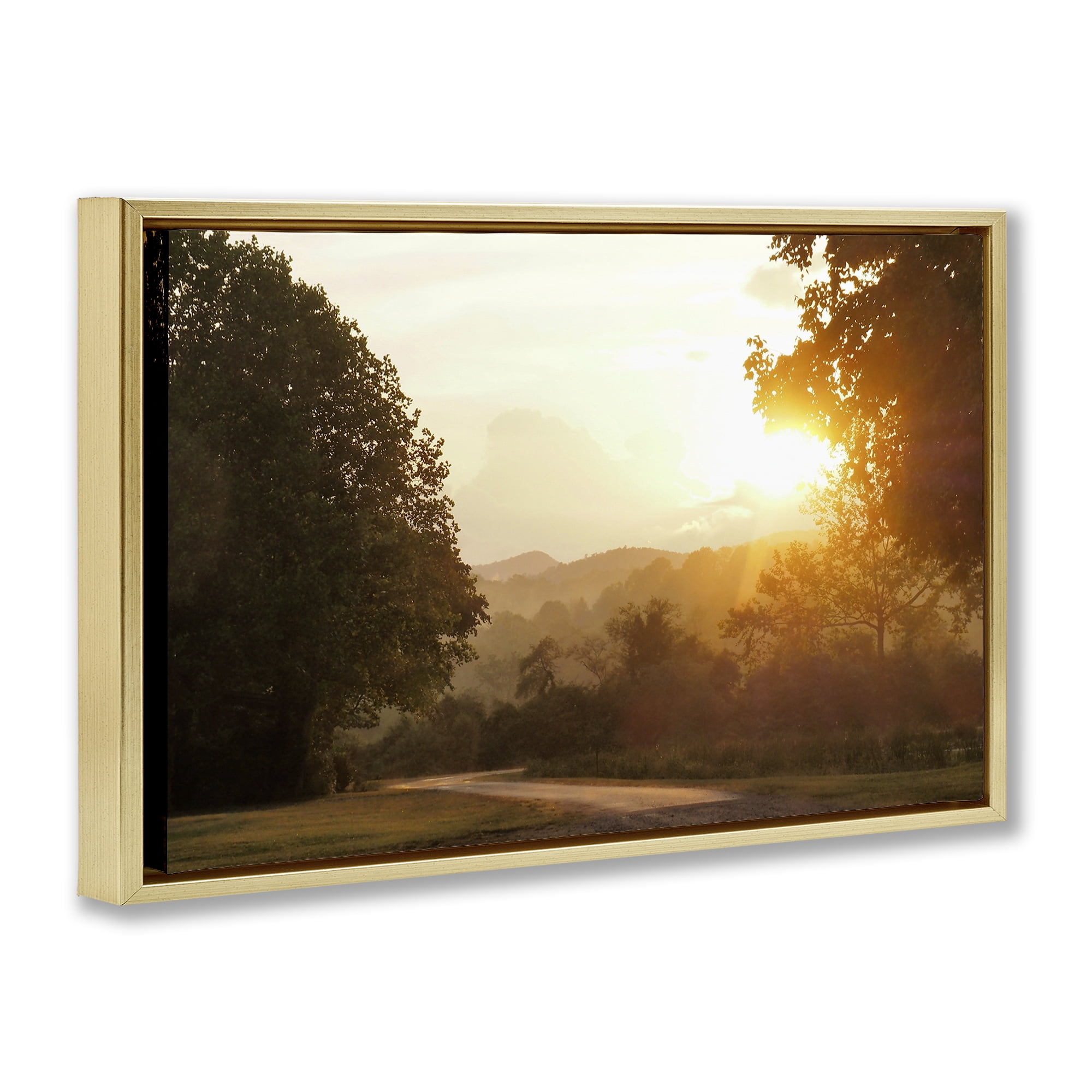 Stupell Industries Golden Morning Between Trees Gold Framed Floater Canvas Wall Art, design by Gail Peck