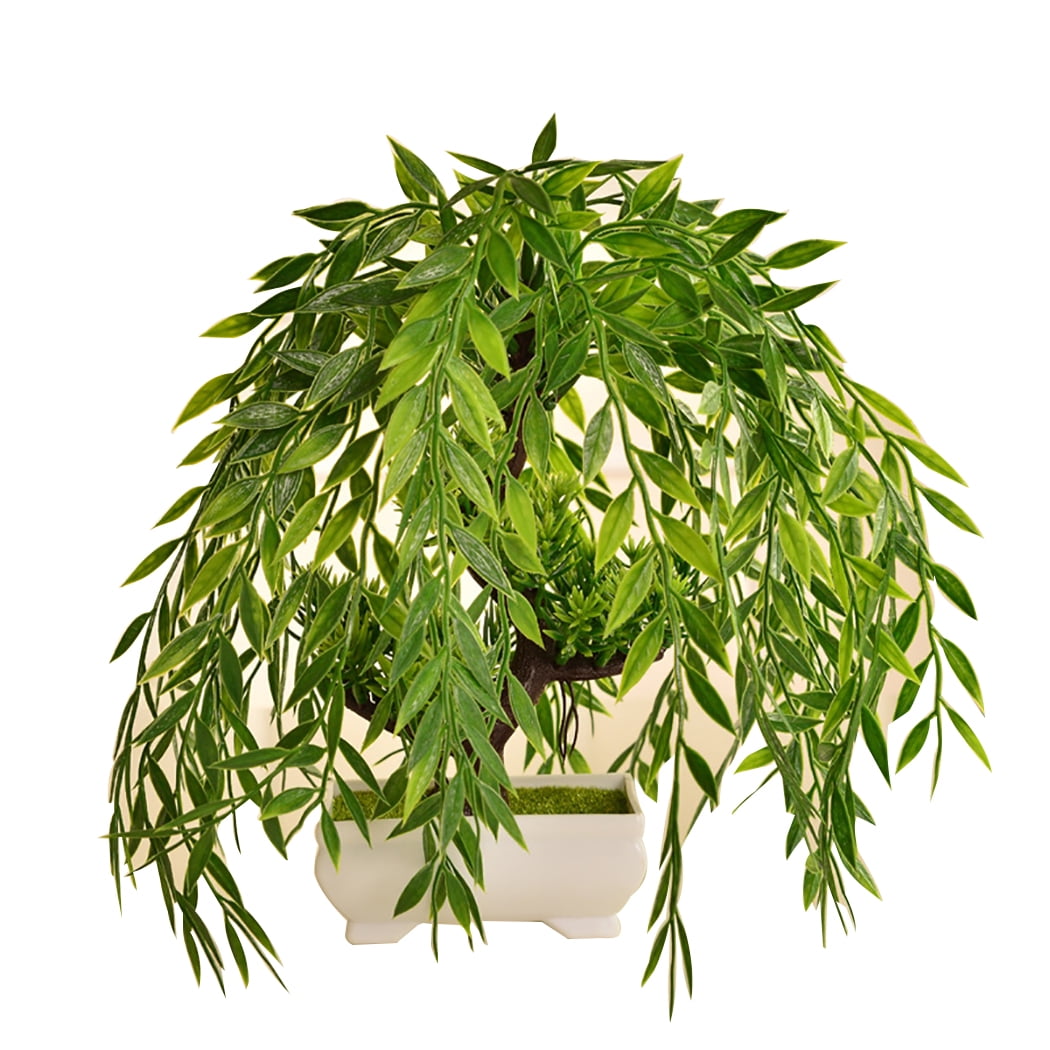 Grasbusch Herbe Fleur Art plante dekopflanze 56 cm ungetopft 185819 f21 