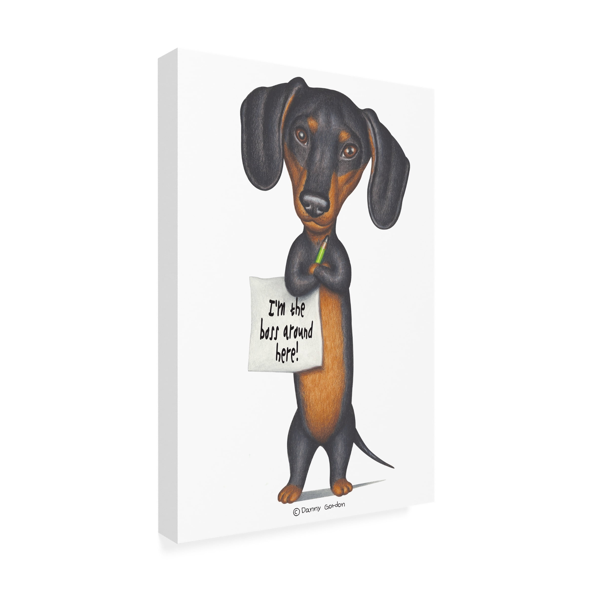 Danny Gordon Art 'Black Dachshund Holding Green Pencil' Canvas Art