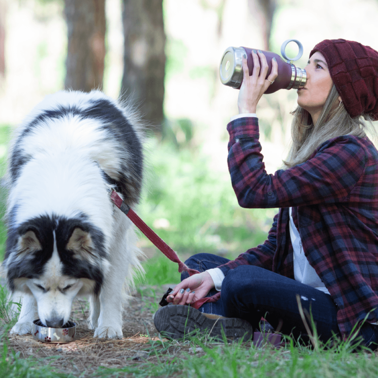 Pet Supplies : Asobu Dog Bowl Attached to Stainless Steel Insulated Travel  Bottle for Human 33 Ounce (Black) 