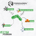 thumbnail image 4 of Complejo para articulaciones Joint Fusion Forzagen 60 Tabletas Forzagen Joint Fusion, 4 of 5