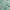 Teal Green, variant on oneOone Polyester Spandex Forest Green Fabric Tropical Monstera Leaves Fabric For Sewing Printed Craft Fabric By The Yard 56 Inch Wide