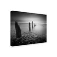 thumbnail image 2 of Trademark Fine Art 'Soft Light Pillars' Canvas Art by Martin Henson, 2 of 4
