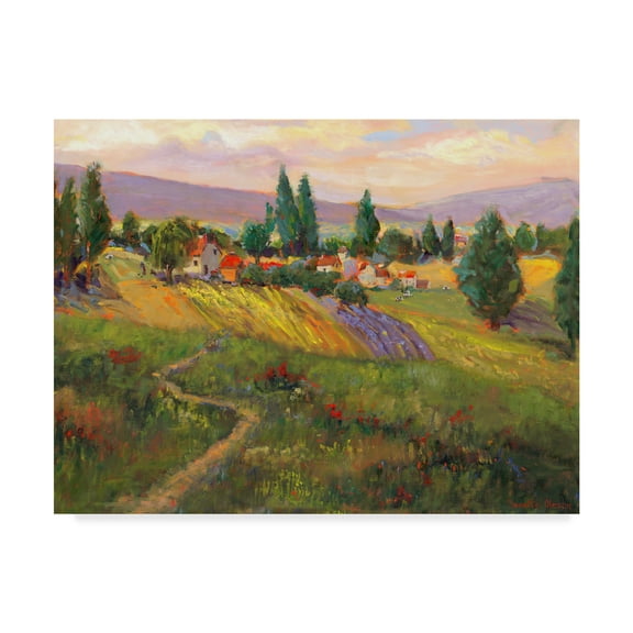 Trademark Fine Art 'Vineyard Tapestry III' Canvas Art by Nanette Oleson