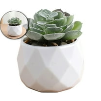 Dvruxg Succulent Plants Artificial with Pot Small Fake Potted Plants Artificial Decor Faux Plants for Living Room Bedroom Office Desk Bookshelf Bathroom Decor Artificial Plants