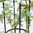 thumbnail image 4 of Pot Stand Plant Climbing Frame Flower Support Garden Obelisk Trellis Set 8Mm Durable Tomato Vine Cages Splicing, 4 of 4