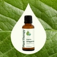 thumbnail image 3 of Plant Therapy Organic Oregano Essential Oil 100% Pure, USDA Certified Organic, Undiluted, Natural Aromatherapy 30 mL (1 oz), 3 of 8