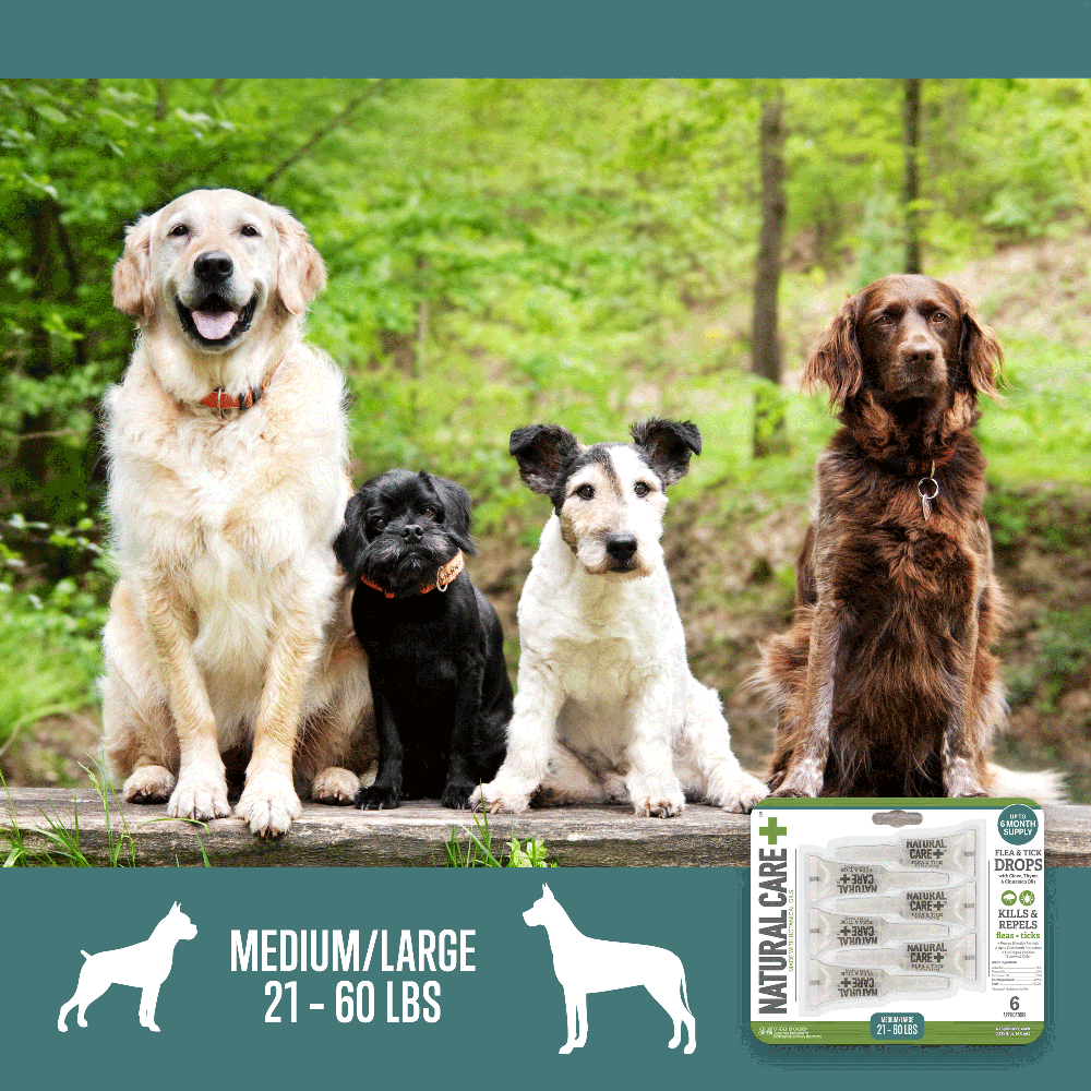 natural care plus flea and tick drops