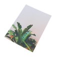 thumbnail image 4 of funtasica Compact Photo Backdrop Leaf Card For Photography , as described Plantain Leaf, 4 of 9
