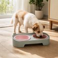 thumbnail image 4 of Double Bowl Pet Feeder 350ml Each Stays in Place for Cats and Small Dogs, Tilted Height Neck Care Removable Bowls, Stable Easy Clean Daily Feeding Station Indoor Gift, 4 of 7