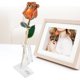 thumbnail image 5 of Flor de rosa dorada de 24 quilates de color naranja brillante con base de regalo para el cumpleaños del día de San Valentín, 5 of 8