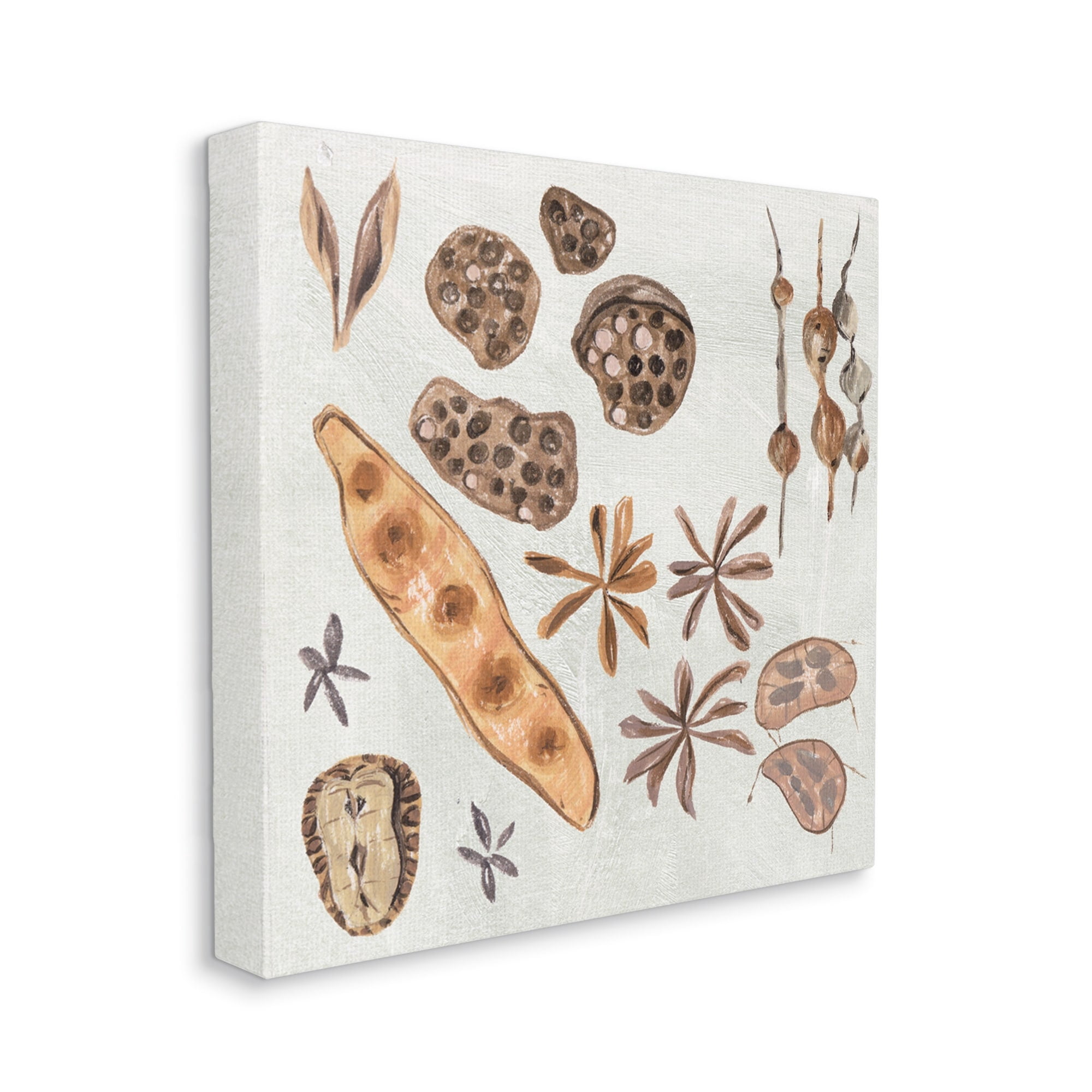 Stupell Industries Brown Seed Plant Botanicals Nature Diagram , 17 x 17, Design by Melissa Wang