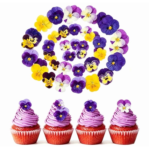48Pcs Natural Dried Pressed Edible Flowers for Cake Topper Decorating - Mix Viola Tricolor for Cupcake Toppers, Cocktails, Resin Jewelry Making, DIY Art Crafts