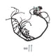 thumbnail image 2 of Parte Trans, Arnés De Cableado Independiente LS Swap ABS Resistente A Altas Temperaturas DBW 4L60E De Alto Rendimiento Para Transmisiones 4L70E 4L75E, 2 of 7