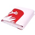 thumbnail image 2 of Bandera DANF FLAG Polonia 91x152 cm Poliéster, 2 of 3