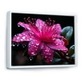 thumbnail image 2 of Designart "Vivid Fuchsia Blooms Nature s Splendor I" Floral Floater Framed Canvas Wall Art, 2 of 7