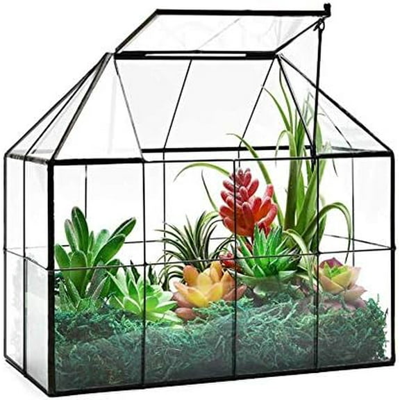Large Glass Terrarium House Planter – Succulent Plant Glass Greenhouse with lid 9.8"X7.9"X5.9" NA$$Garden & Patio