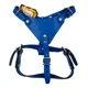 thumbnail image 2 of Pechera/ Arnés Para Perro 100% Piel Resistente Talla Grande, 2 of 4