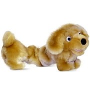 Bungee Golden Retriever Dog Toy