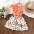 thumbnail image 2 of PINQI Summer Little Girls Dresses Girls Dress Summer Children's Dress Western Flying Sleeve Stitching Printed Princess Dress 3-7Years, 2 of 8