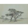 thumbnail image 2 of Samuel Colman 14x11 Black Ornate Wood Framed Double Matted Museum Art Print Titled: Cypress Trees, Cypress Point (1886), 2 of 5