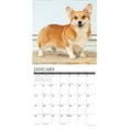Willow Creek Press, Just Pembrook 2025 Wall Calendar