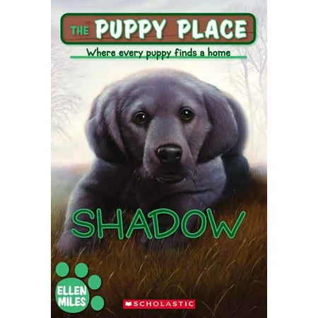 Shadow