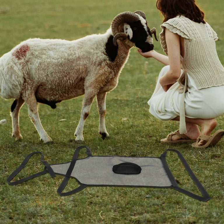 Oraceous Goat Anti-Mating Apron With Adjustable Strap Anti