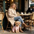 thumbnail image 4 of Dog Sunscreen Jumpsuit Breathable Four-Leg Full Coverage Sun Protection Hooded Lightweight Mesh Pet Outfit Elastic Puppy Clothes for Outdoor Walking Travel Summer Autumn, 4 of 4