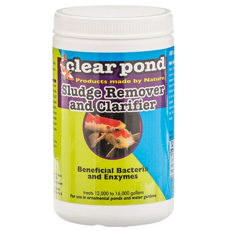Clear Pond Dry Sludge Remover & Clarifier 16 oz (Best Pond Sludge Remover)