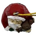 thumbnail image 5 of Robin Ruth Ak Santa Ornament, 5 of 5
