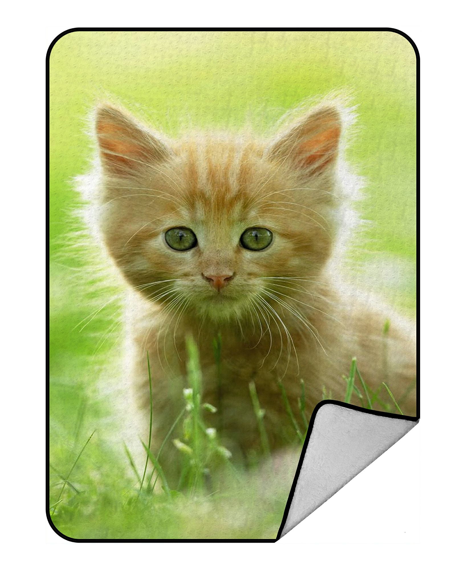 ZKGK Animals Kitten Cat Blanket Crystal Velvet Front and Lambswool Sherpa Fleece Back Throw
