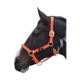 thumbnail image 1 of Hy Grand Prix Head Collar, 1 of 1