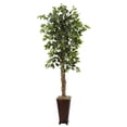 thumbnail image 1 of Ficus 6.5 Pouces avec Jardinière Décorative, 1 of 1