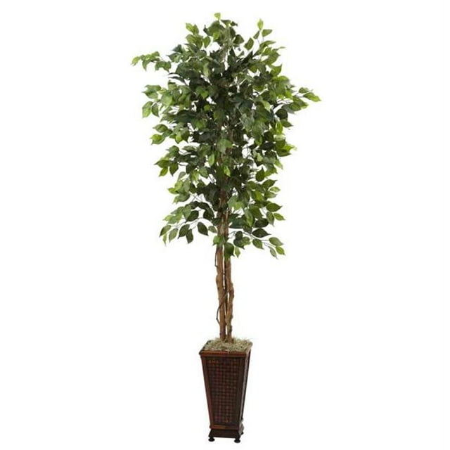 Ficus 6.5 Pouces avec Jardinière Décorative